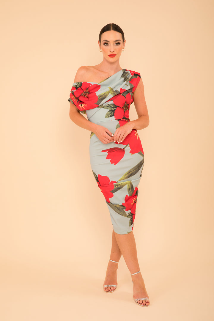 ATOM LABEL janus dress in sage & poppy red print