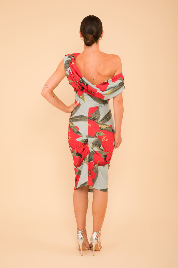 ATOM LABEL janus dress in sage & poppy red print